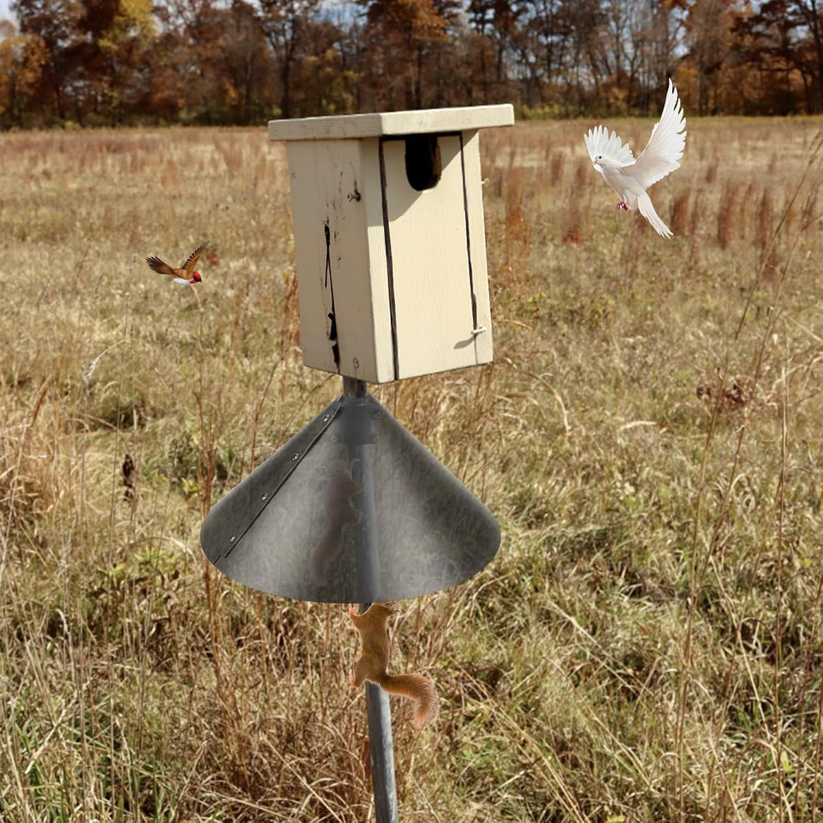 2 Pack Squirrel Baffle Accessory for Bird Feeder Pole W41765
