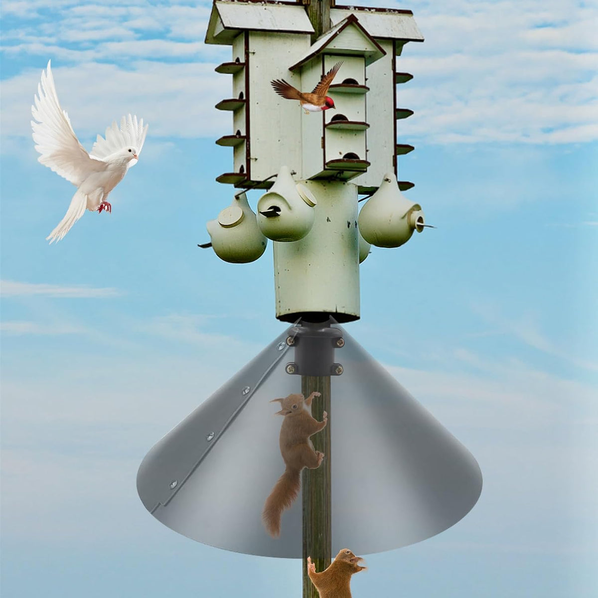 2 Pack Squirrel Baffle Accessory for Bird Feeder Pole W41765