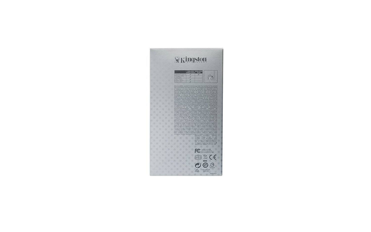 IronKey Basic S1000 Encrypted Flash Drive Q480