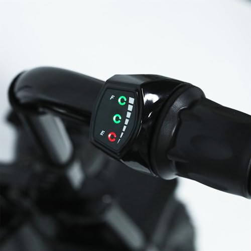 36V 1000W Electric Mini Dirt Bike R658
