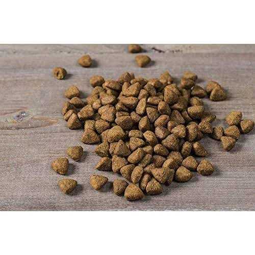 Small Breed Dry Dog Food Turkey W42363