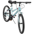20x22 Mountain Bike H242673