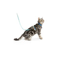 Kitten Harness & Lead R39322