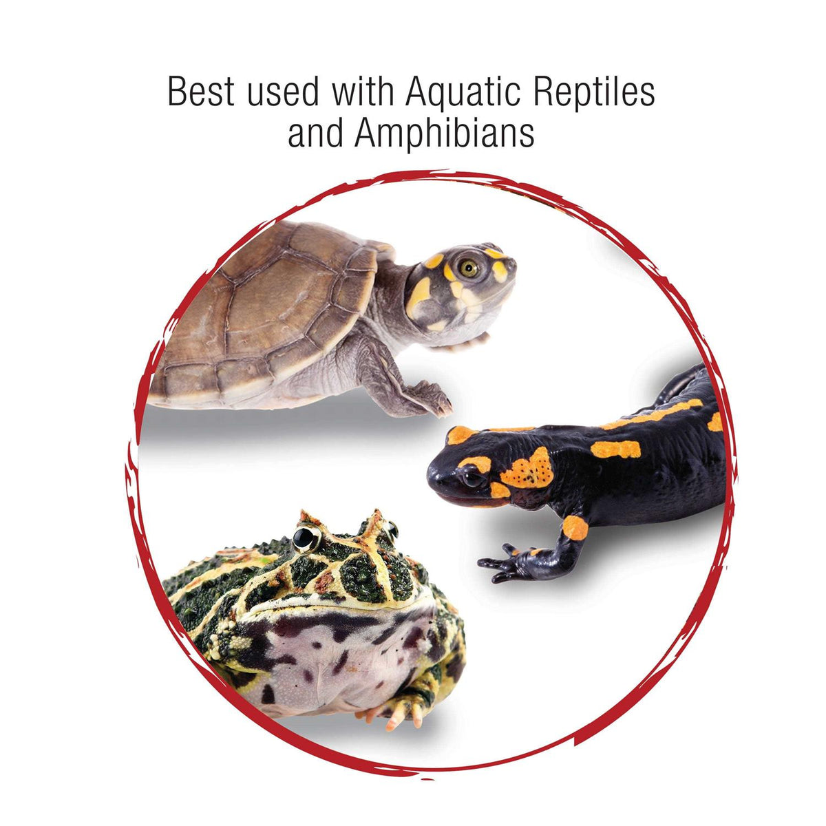 Aquatic Reptile Internal Filter Q9450