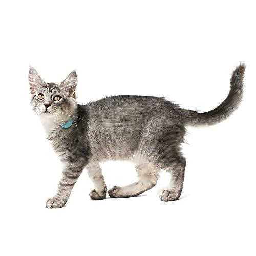 Pet Collar Locator Tag Q136