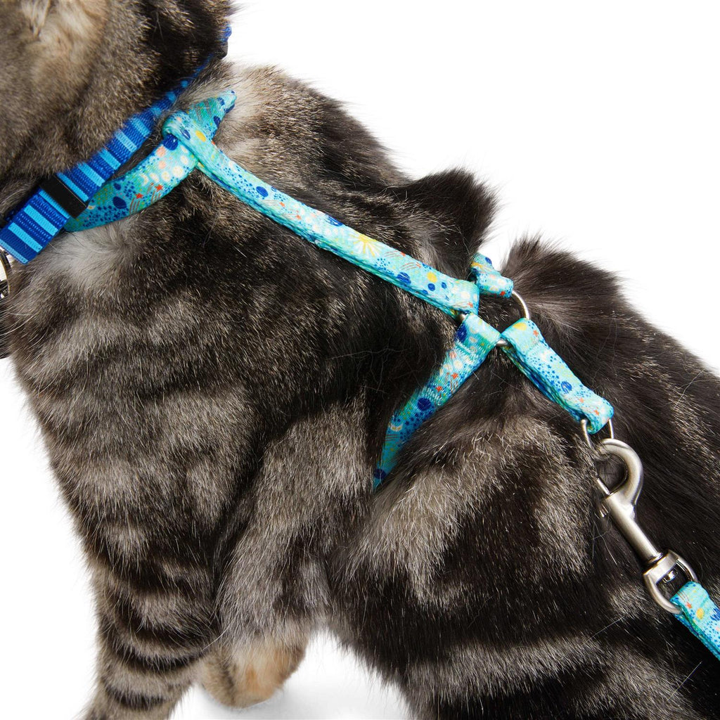 Kitten Harness & Lead R39322