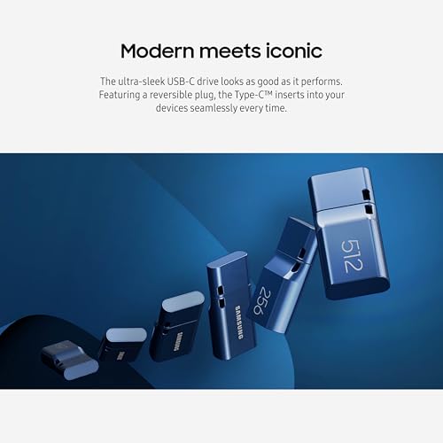 Type-C USB Flash Drive 256GB Blue X923