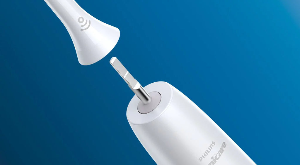 White Toothbrush Heads, Set of 8 C34338