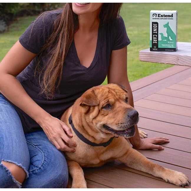 Glucosamine for Dogs with MSM & Ascorbic Acid S89575