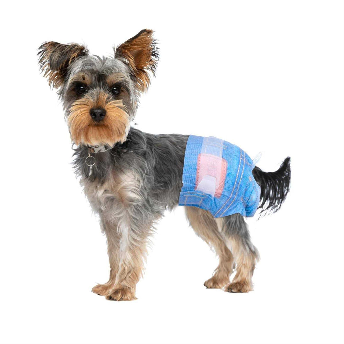 Soft Female Disposable Dog Diapers W1054