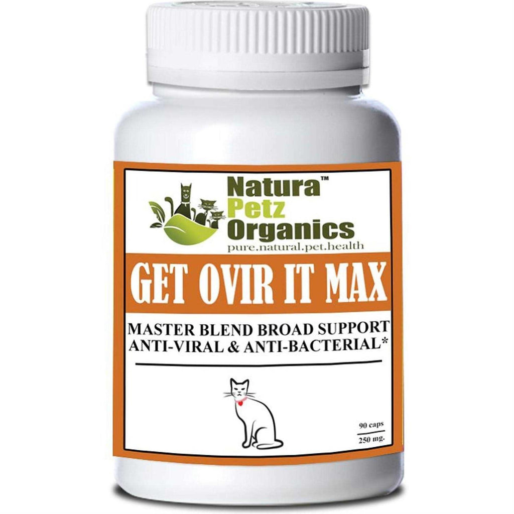 Plant Anti Viral Anti Bacterial For Dogs And Cats W135933