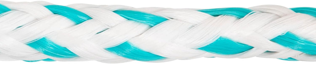Blue 4-Rider Booster Ball 60' Z573
