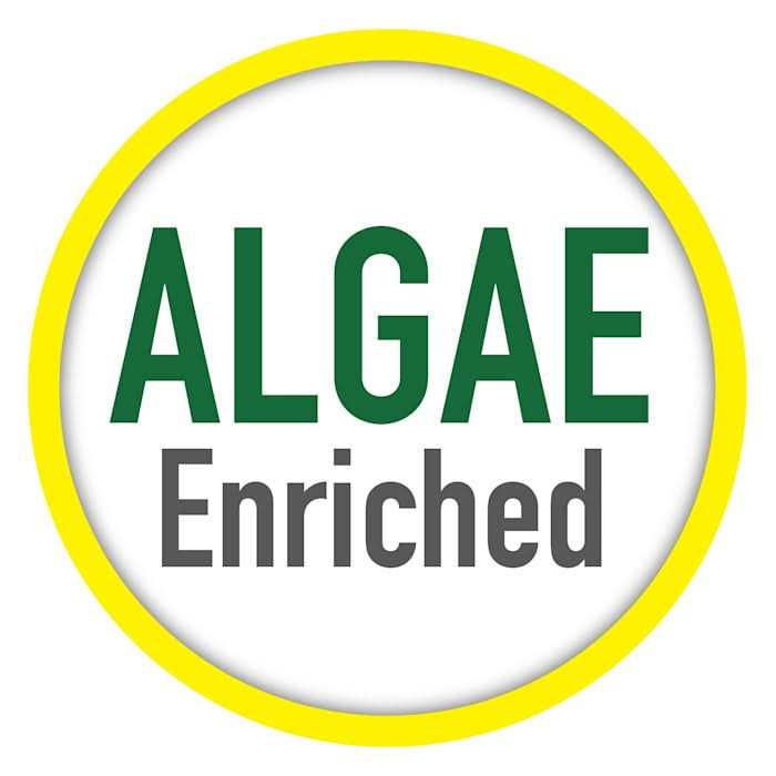 Algae Eaters C269