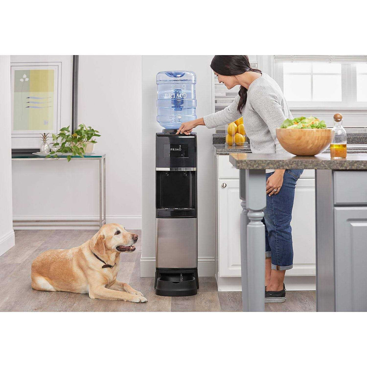 Top Loading Hot/Cold Water Dispenser A17195