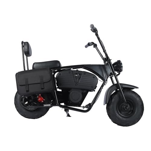 36V 1000W Electric Mini Dirt Bike R658