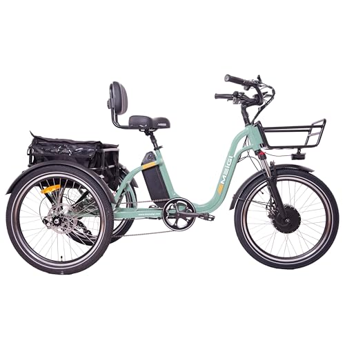 750W Motor 48V 16AH Battery Full Suspension Electric Tricycle L3013
