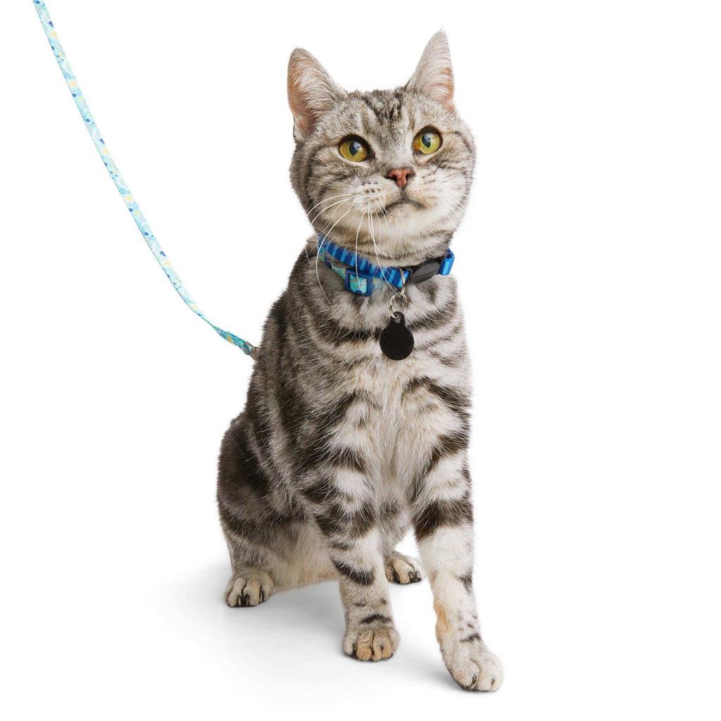 Kitten Harness & Lead R39322
