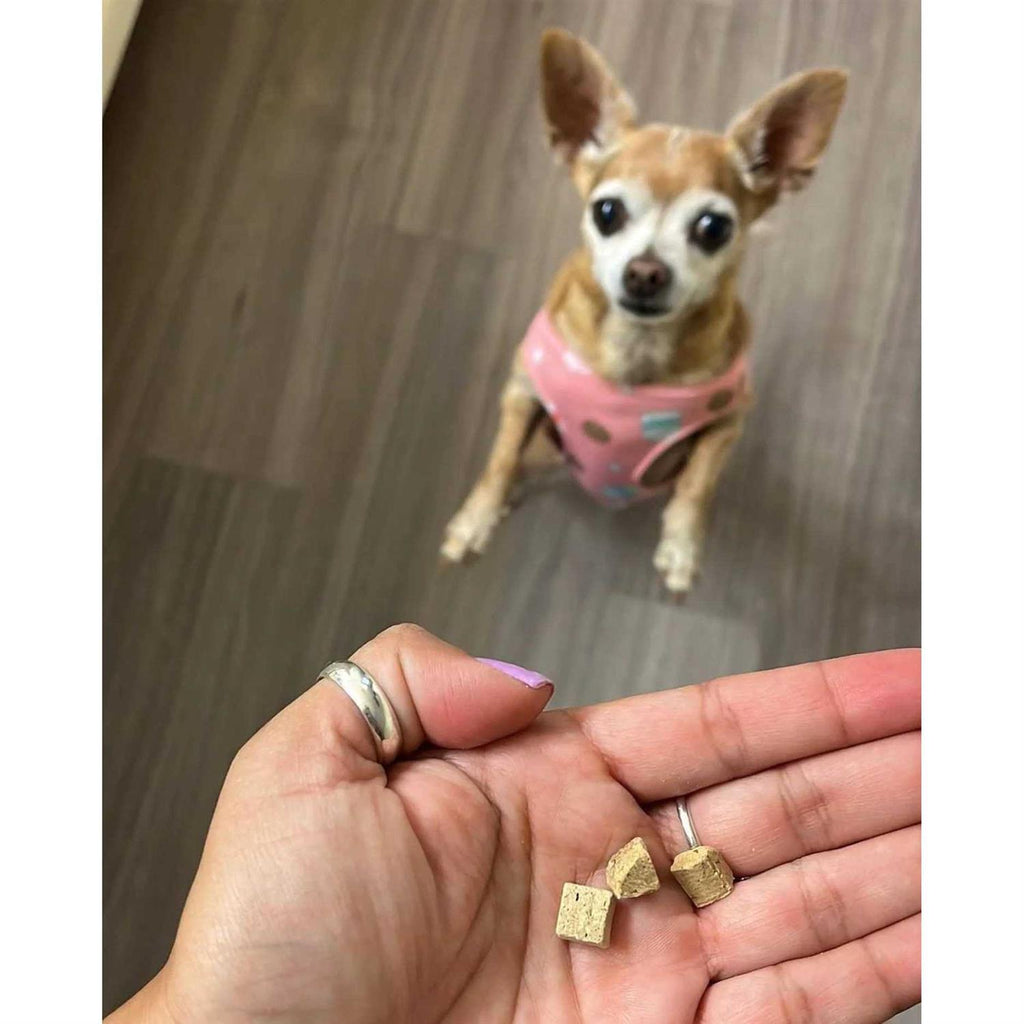 Beef Liver Freeze Dried Dog Treats Y886405