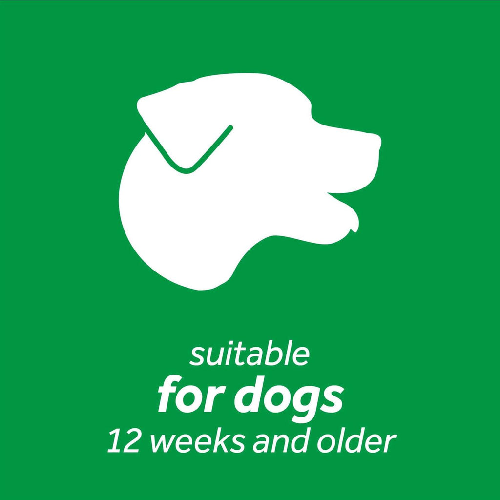 Dental Wipes for Dogs V21580