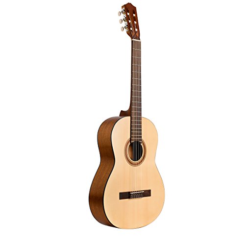 Classical Acoustic Nylon String Guitar with Gig Bag F72767