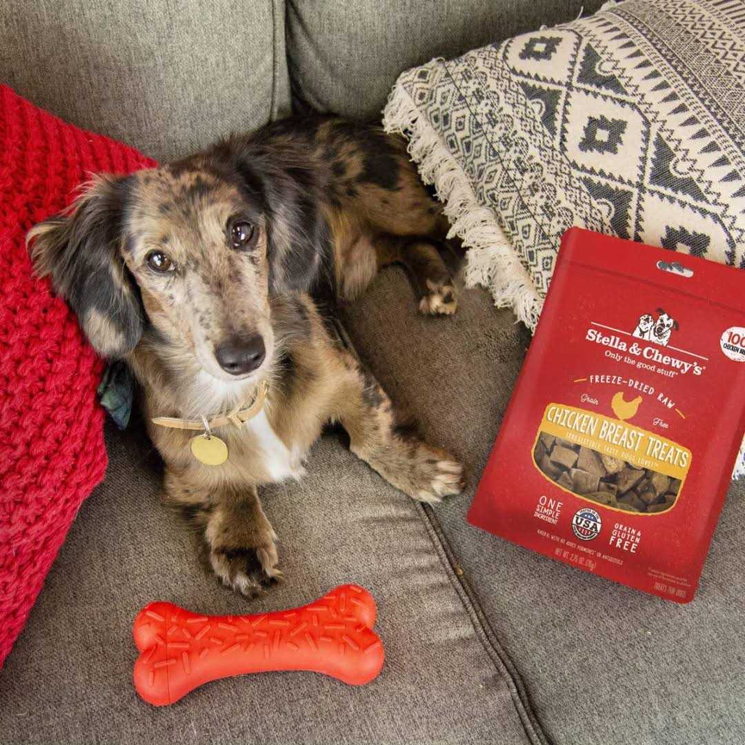 Freeze Dried Beef Dog Treats C437