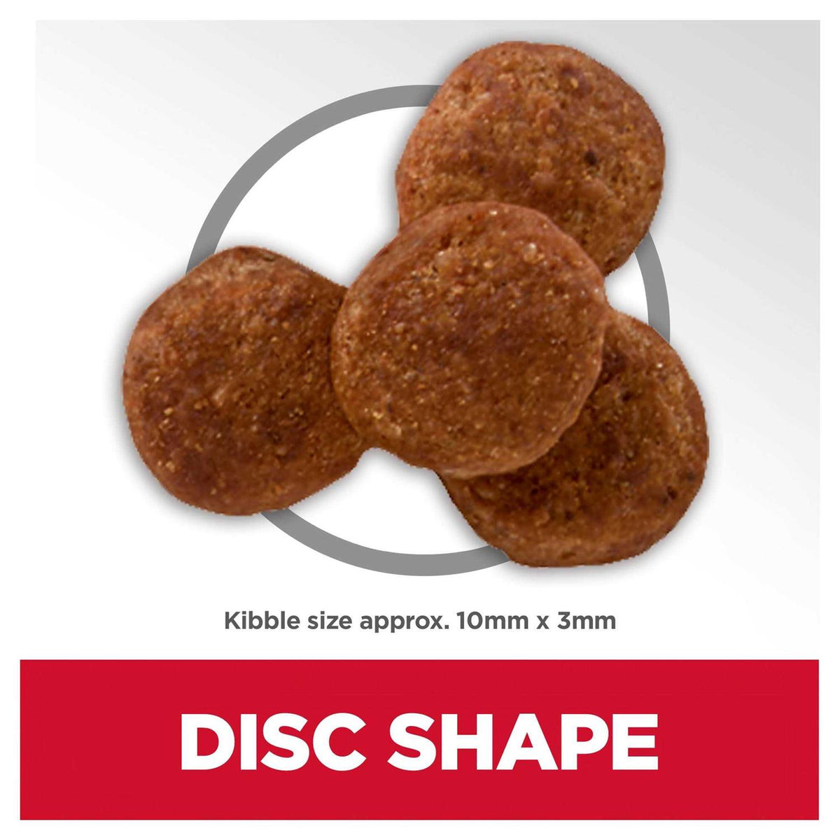 Adult Chicken Dog Food V304