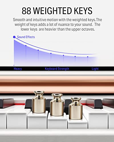 88-Key Weighted Action Digital Piano with Furniture Stand P44416