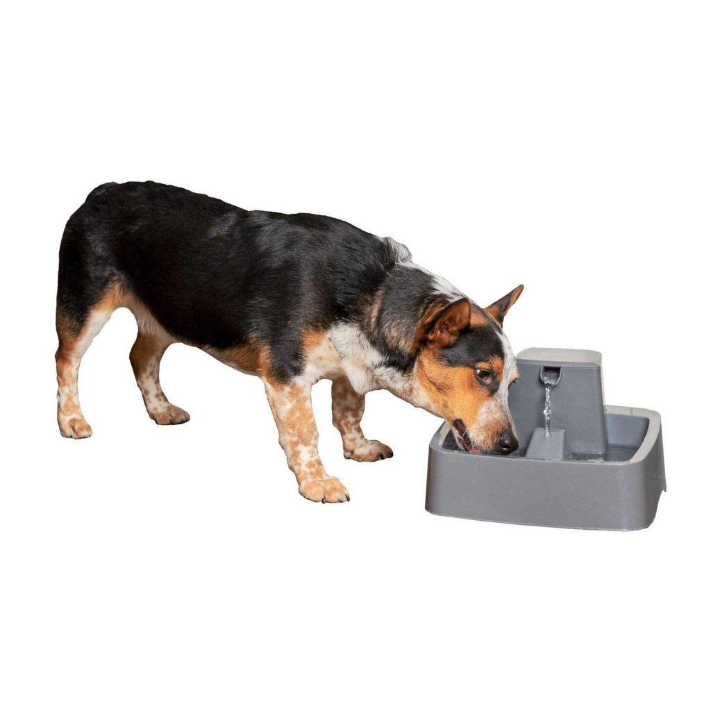 1 Gallon Pet Fountain D7071