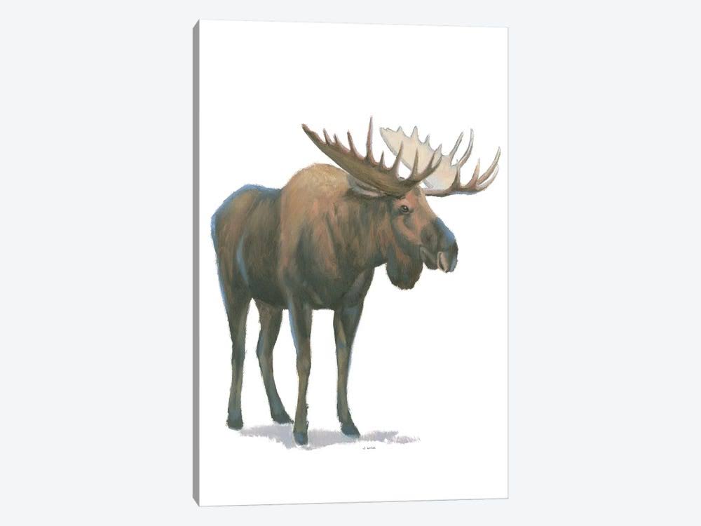 Canvas Art Moose Print Q354929