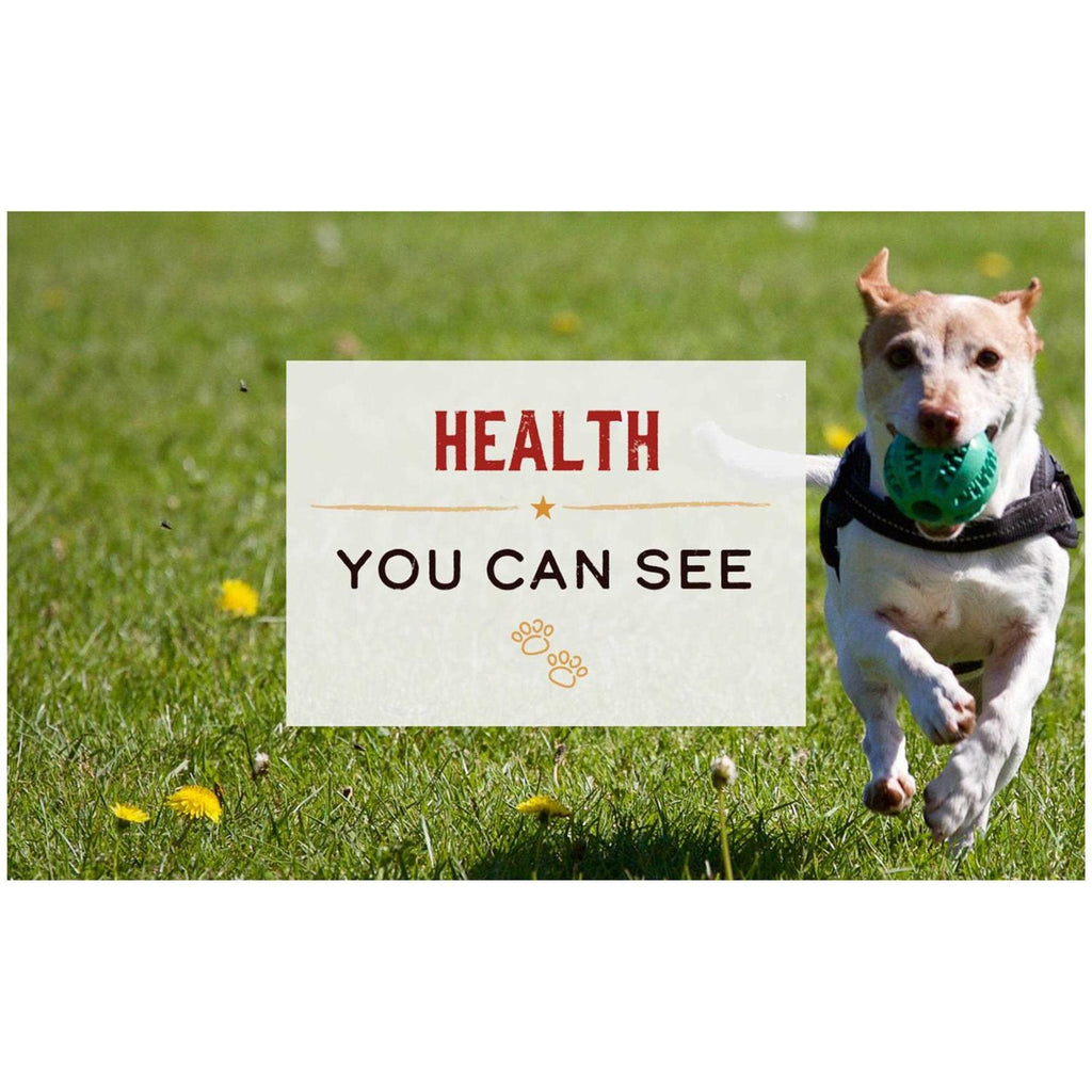 Grain Free Small Dog Food H146079