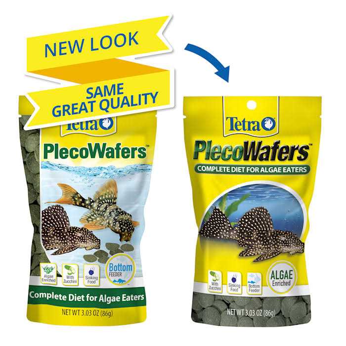 Algae Eaters C269