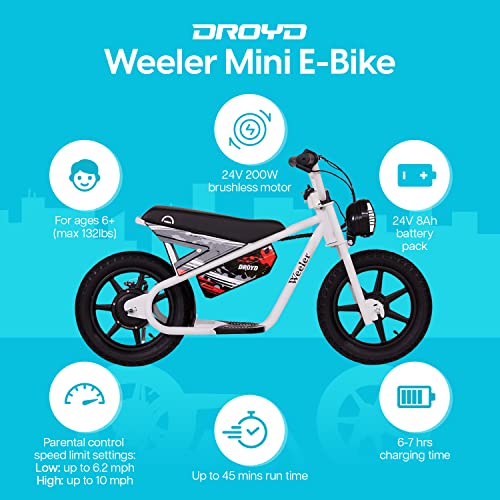 Electric Mini Bike with 14in Tire, 24V 8Ah Battery O31498