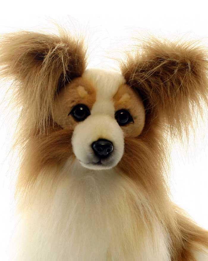 Plush Papillion Dog K617