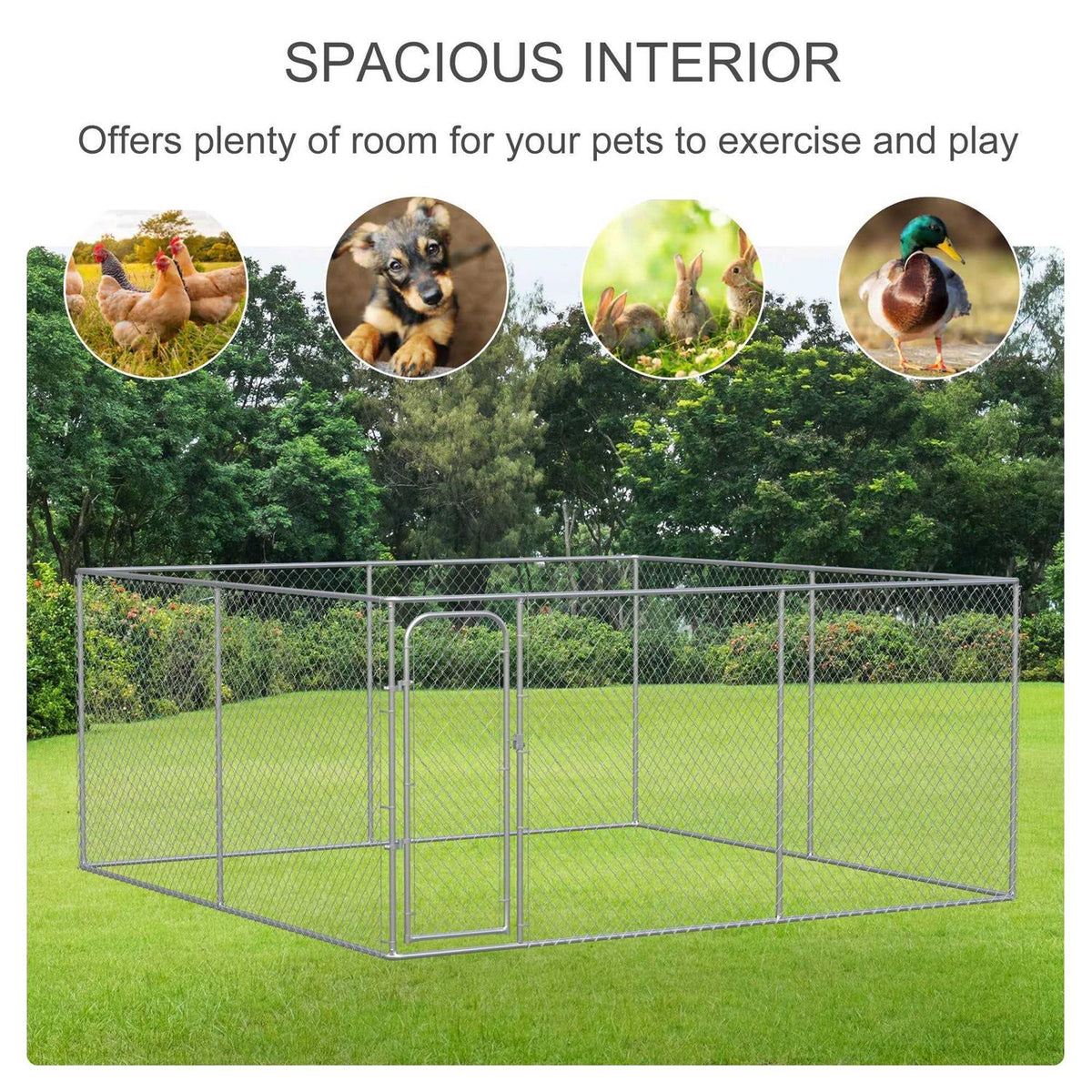 Dog Kennel 6 B27957