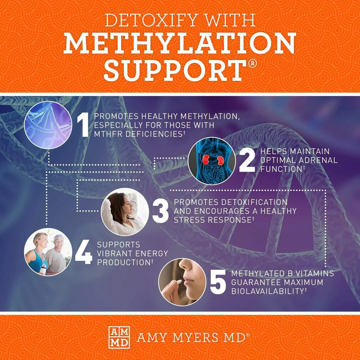 120 capsules Methylation Support Supplement with Folate and Vitamin B12 E199