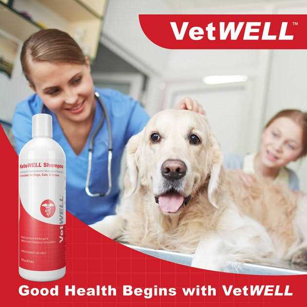 Antiseptic Dog Cat & Horse Shampoo U392