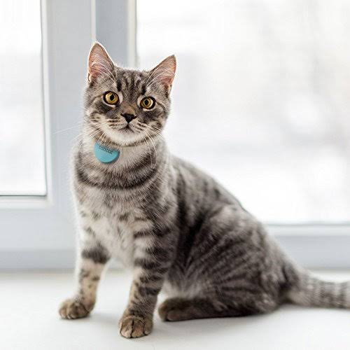 Pet Collar Locator Tag Q136