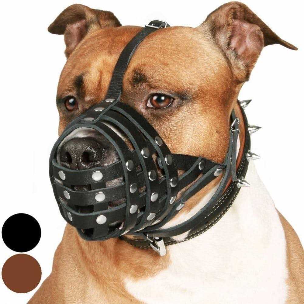 Dog Muzzle Genuine Leather F38270