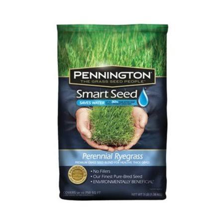 Perennial Rye Blend Grass Seed Mixture, 3-Pound C622