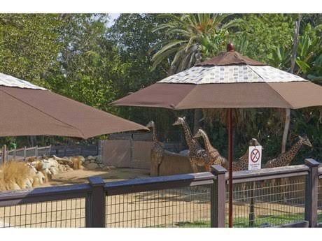 Hunter Green Olefin Wood Market Umbrella N92696