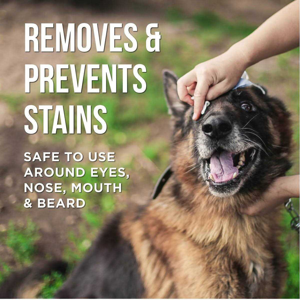 Dog Eye Wipes O37874