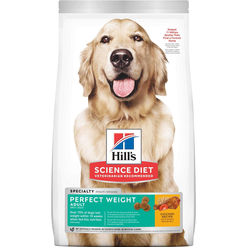Adult Chicken Dog Food V304