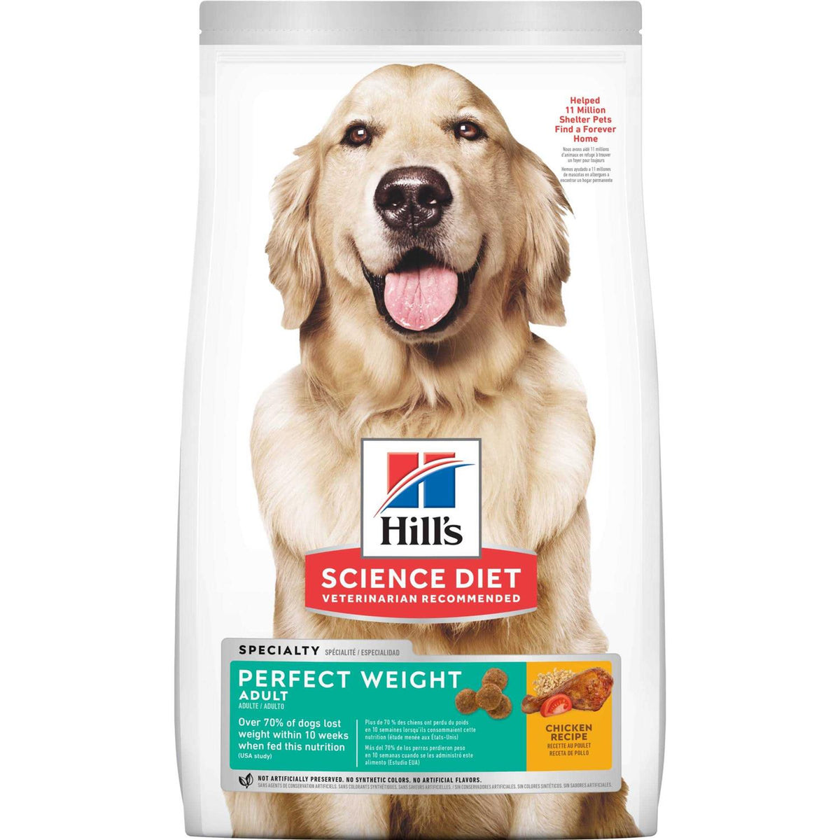 Adult Chicken Dog Food V304