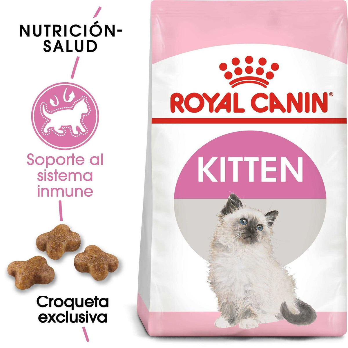 Kitten Dry Cat Food S1311