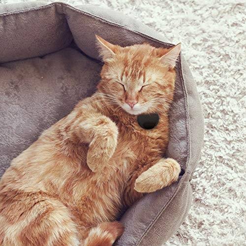 Pet Collar Locator Tag Q136