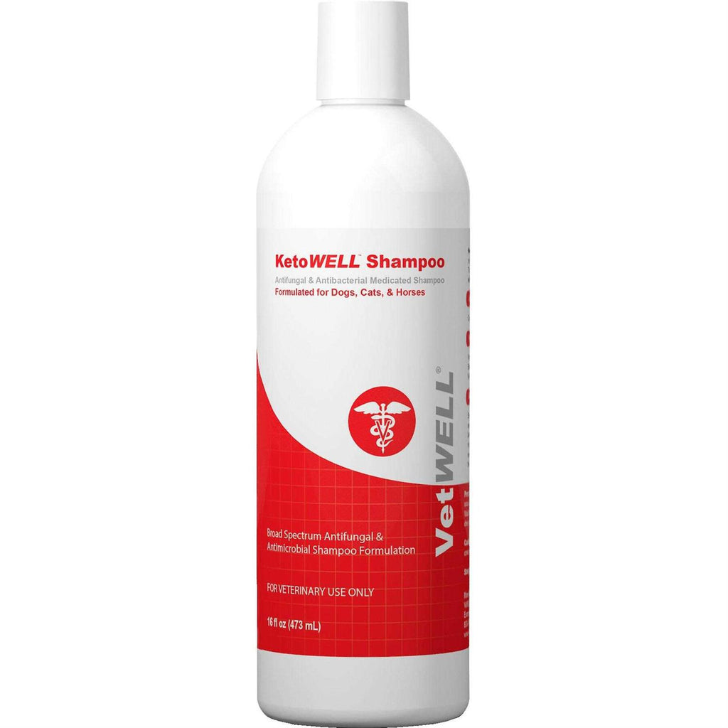 Antiseptic Dog Cat & Horse Shampoo U392