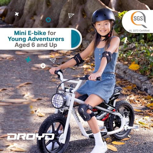 Electric Mini Bike with 14in Tire, 24V 8Ah Battery O31498