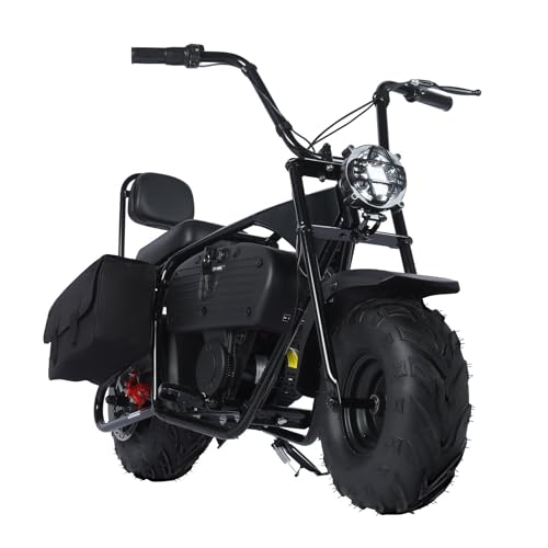 36V 1000W Electric Mini Dirt Bike R658