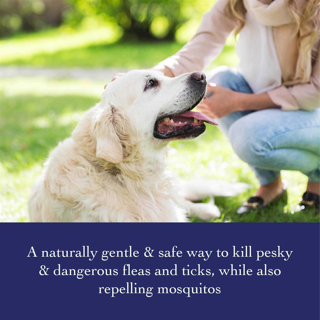 Flea & Tick Shampoo O261