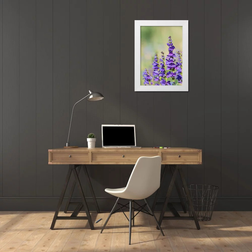 White Modern Wood Framed Art Print Z732841